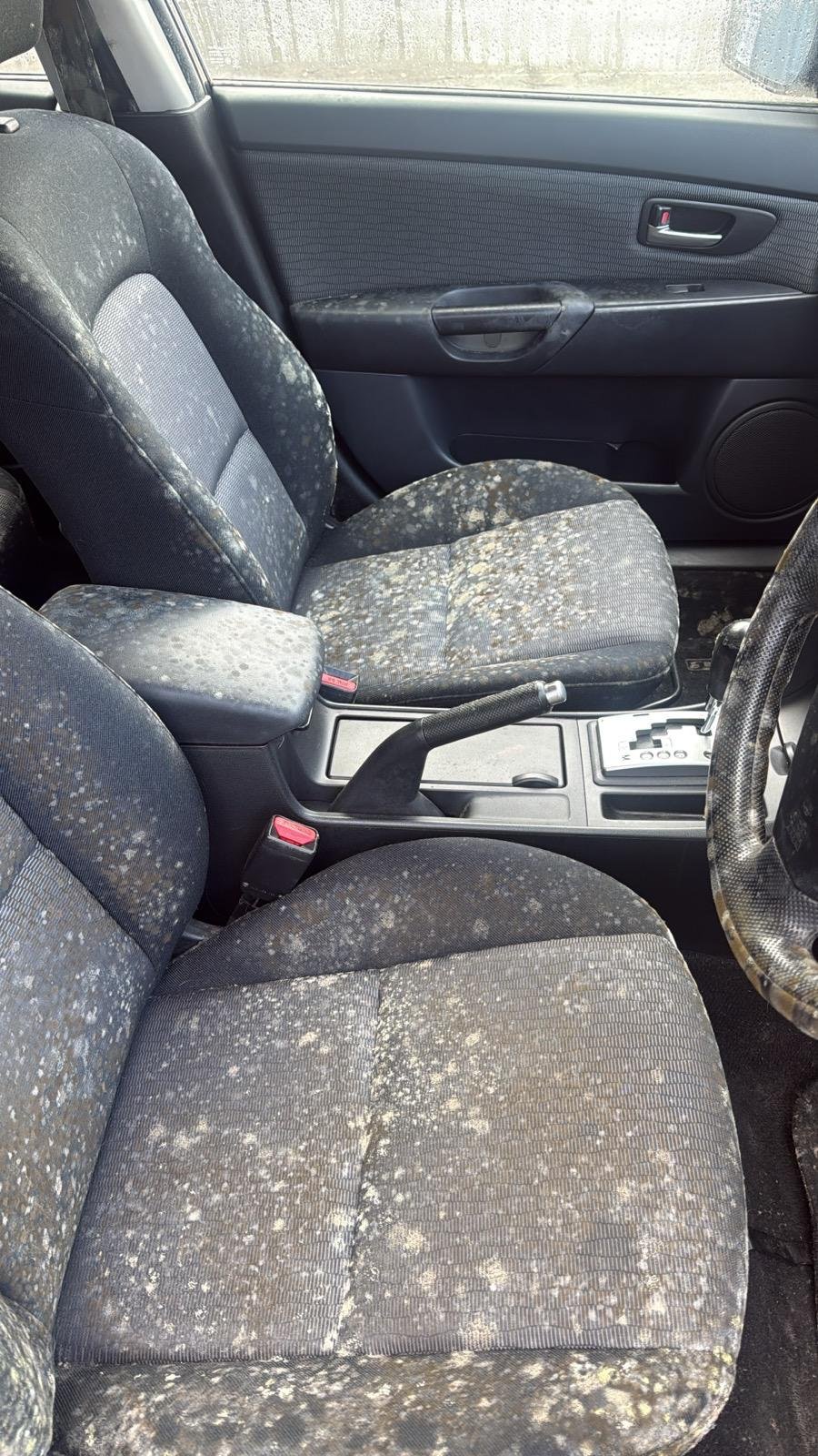 Car before mould removal second example